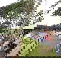 Darwin Ski Club - Accommodation Mount Tamborine