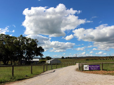 Short Sheep Micro-Winery - Accommodation Mount Tamborine 0