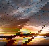 Old Lodge Gallery Emporium and River Cafe - Accommodation Mount Tamborine