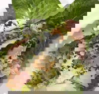 Ryan's Gourmet Kitchen - Accommodation Mount Tamborine