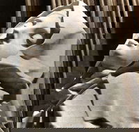 KFC - Joondalup - Accommodation Mount Tamborine