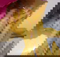 Red Rooster - Joondalup - Accommodation Mount Tamborine