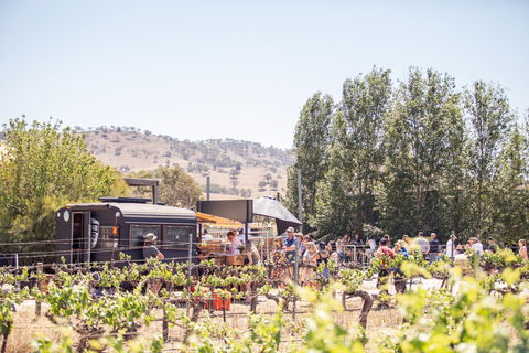 Thistle Hill Wines - Accommodation Mount Tamborine 0