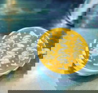 Fay's Cafe - Accommodation Mount Tamborine