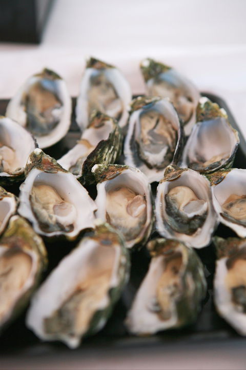 S.D. Caputo And Sons - Accommodation Mount Tamborine 0