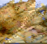 Red Rooster - Malaga - Accommodation Mount Tamborine