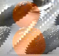 Zinger Taj - Accommodation Mount Tamborine