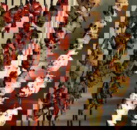 The Spice Yard - Accommodation Mount Tamborine