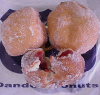 Dandee Donuts - Accommodation Mount Tamborine