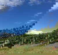 Freycinet Vineyard - Accommodation Mount Tamborine