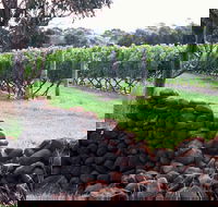 Spring Vale Vineyard - Accommodation Mount Tamborine