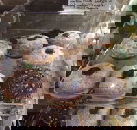 Gaffney Place - Accommodation Mount Tamborine