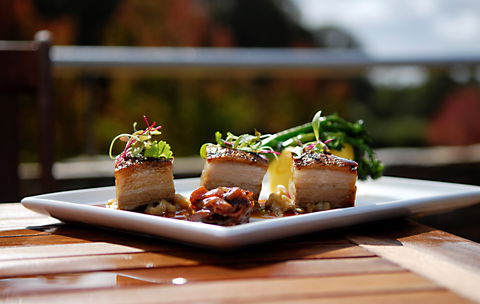 Avocados Bar And Cafe - Accommodation Mount Tamborine 0