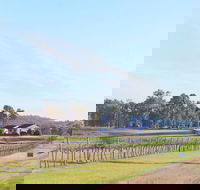 Blacklea Vineyard and Olive Grove - Accommodation Mount Tamborine