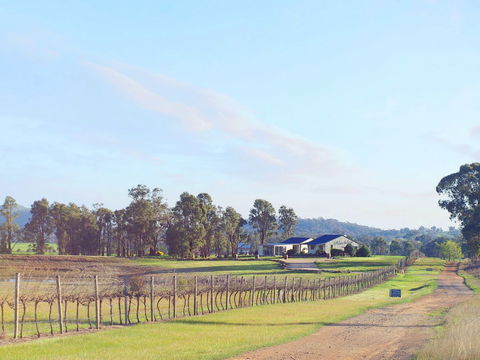 Blacklea Vineyard And Olive Grove - Accommodation Mount Tamborine 0