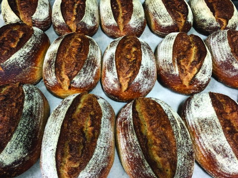 Farmer's Bakehouse - Accommodation Mount Tamborine 0