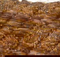 Kolachi - Accommodation Mount Tamborine