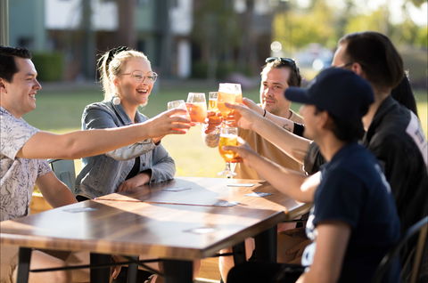 Ballistic Brewery, Bar And Kitchen - Accommodation Mount Tamborine 2