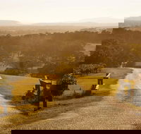 Petersons Wines - Accommodation Mount Tamborine