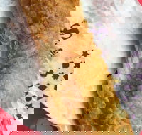 Jesters - Mirrabooka - Accommodation Mount Tamborine