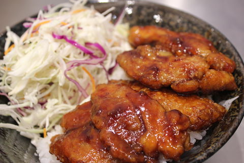 Zushi Zone - Accommodation Mount Tamborine 0