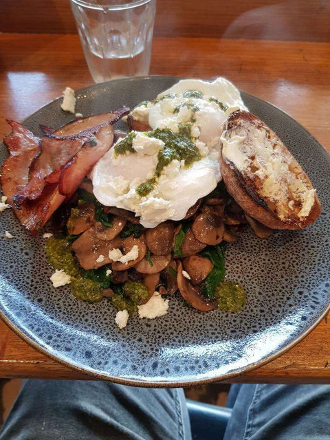 Provisions - Accommodation Mount Tamborine 0