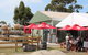 The Craft & Co Farm - thumb 2