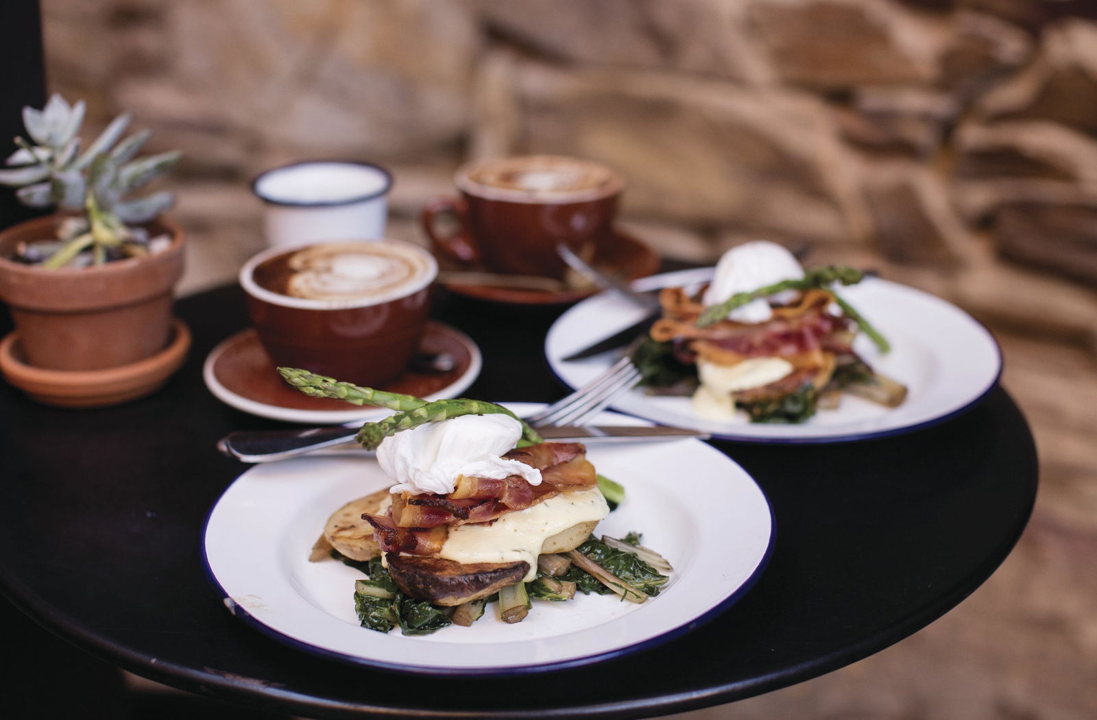  Accommodation Mount Tamborine