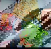 Bistro on Cinders - Accommodation Mount Tamborine