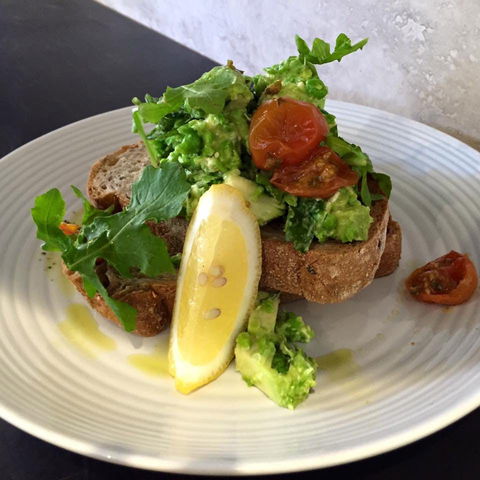 The Little Banksia - Accommodation Mount Tamborine 0