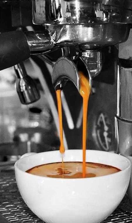 Arthouse Kitchen - Accommodation Mount Tamborine 7