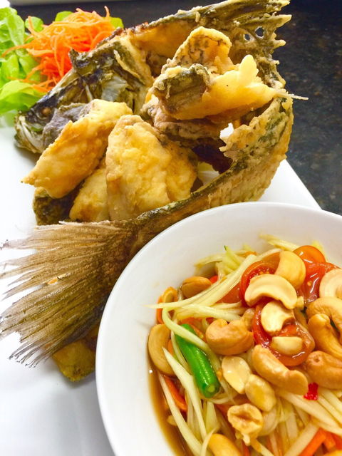 Rose Niyom Thai - Accommodation Mount Tamborine 2