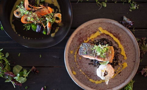 Zebu Bar & Grill - Accommodation Mount Tamborine 34