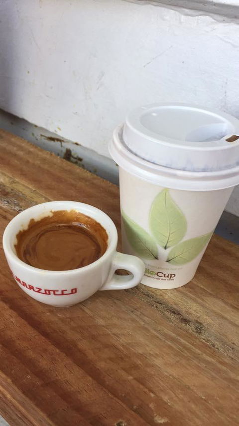 Silky Oak Espresso - Accommodation Mount Tamborine 2