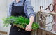 Verdure Bistro - thumb 0