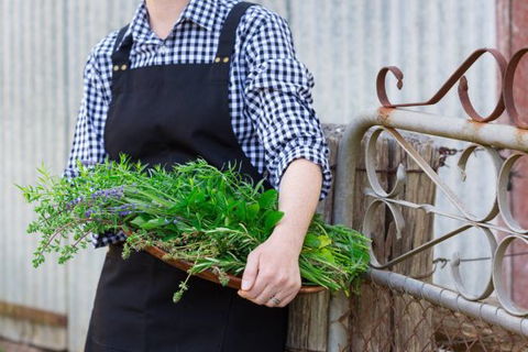 Verdure Bistro - Accommodation Mount Tamborine 0