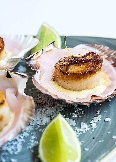 Aristotle's Neutral Bay - Accommodation Mount Tamborine 1