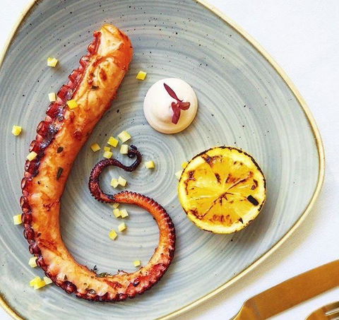 Aristotle's Neutral Bay - Accommodation Mount Tamborine 20