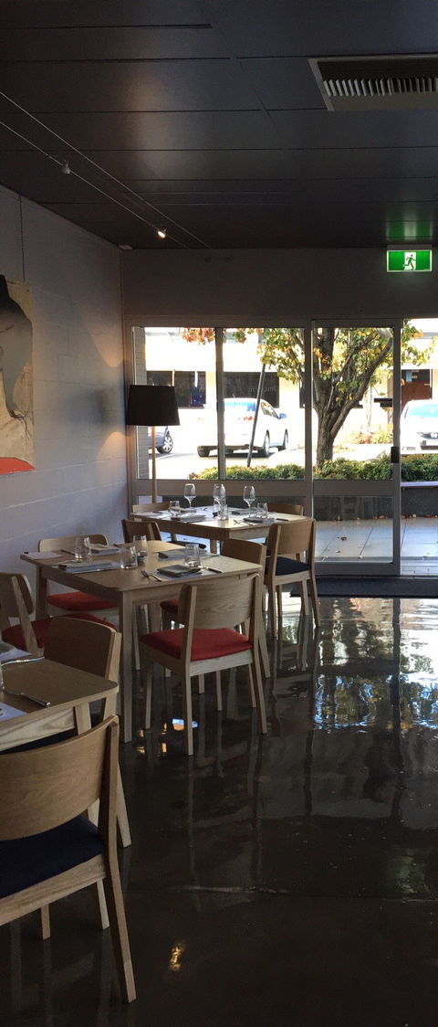 Zev's Bistro - Accommodation Mount Tamborine 1