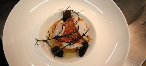 The Peak Restaurant At Spicers Peak Lodge - Accommodation Mount Tamborine 1