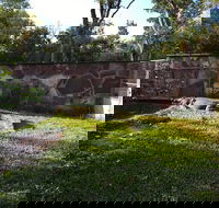 Corroboree Park Tavern - Accommodation Mount Tamborine