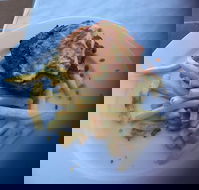 Bayside Inn - Accommodation Mount Tamborine