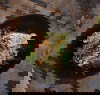 Red Square Cafe - Accommodation Mount Tamborine