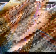 Haynes Bar and Grill - Accommodation Mount Tamborine