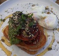 Surfing Lizard Cafe - Accommodation Mount Tamborine
