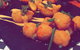 Atura Roadhouse Bar And Grill - thumb 6
