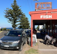 Fish - Accommodation Mount Tamborine