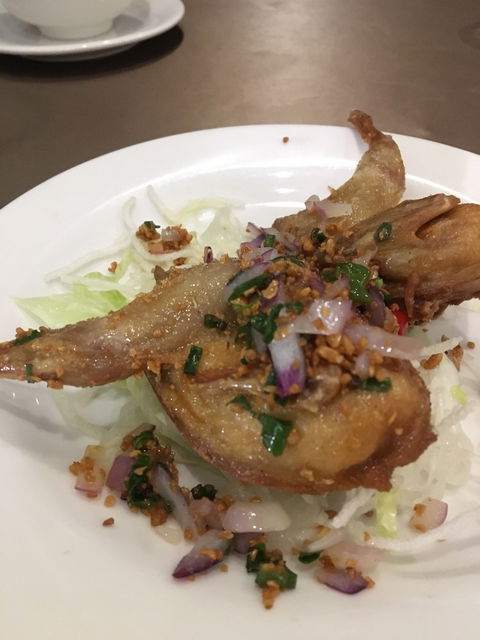 HAOZ Chinese Restaurant - Accommodation Mount Tamborine 1