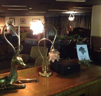 The Bison Bar - Accommodation Mount Tamborine