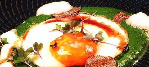 Aquavue Cafe Watersports - Accommodation Mount Tamborine 2